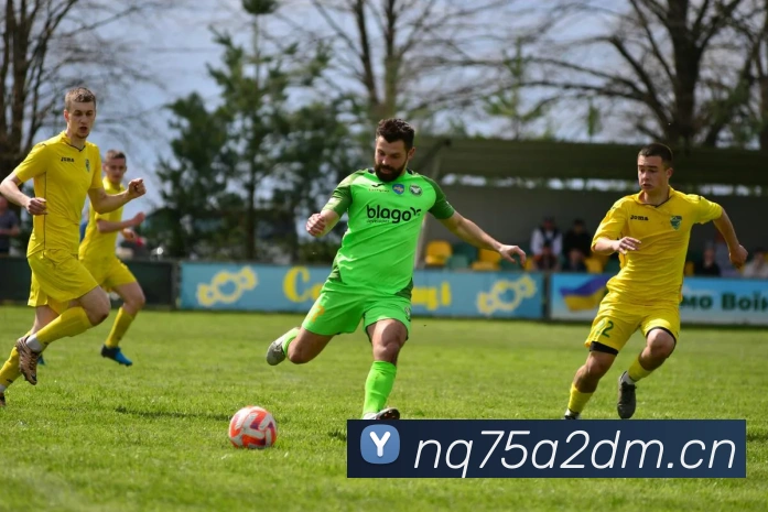 爱体育电子官方网站平台生态图