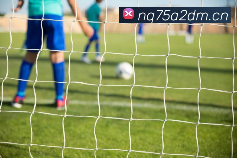 爱体育电子官方网站APP 封面图